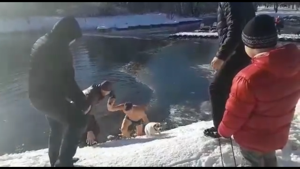 спасение человека за бортом с катера. спасение собаки на льдине. щенок уплыл на льдине. спасение морских животных. спасаться видео.